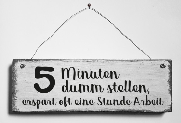 Türschild • 5 Minuten dumm stellen