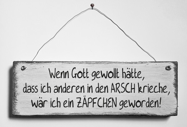 Türschild • Zäpchen Arschkriecher